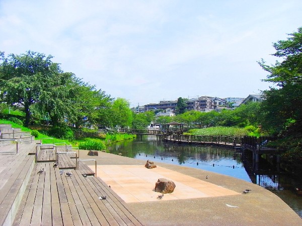 岸根公園(駅隣接の広くて有名な公園。じゃぶじゃぶ池やアスレチック、大きな芝生広場など、お弁当を持ってピクニックにくる方も大勢います。駐車場も完備。)