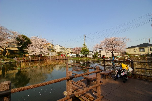 白幡池公園(滑り台、ブランコ、鉄棒がある遊びの広場と、魚釣りができる白幡池があります。お子さんと一緒に釣りを楽しんでみてはいかがでしょうか。)