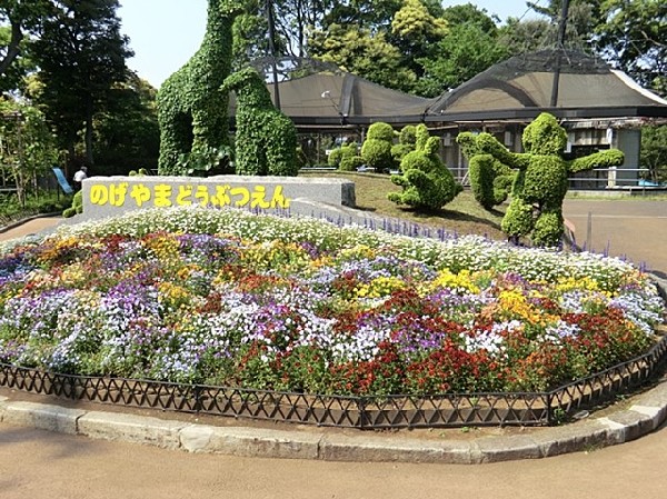 野毛山動物園(野毛山公園の中にあり桜の名所としても有名。ライオンやキリンなど、約90種類の動物が飼育されています。)
