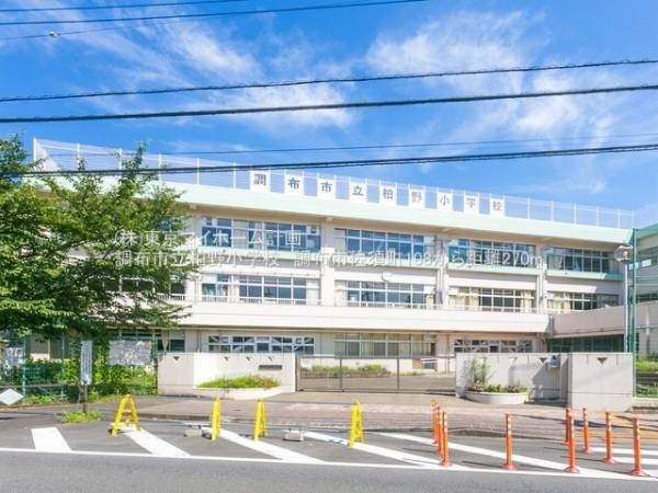 調布市立柏野小学校