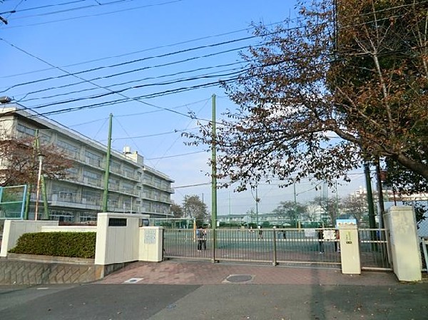 横浜市立平戸台小学校(横浜市立平戸台小学校まで240m)