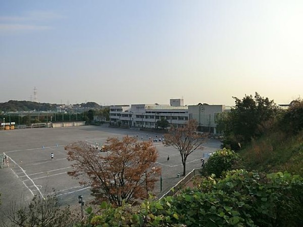 横浜市立秋葉中学校(横浜市立秋葉中学校まで350m 中学校でスポーツに勉強に励みましょう♪)