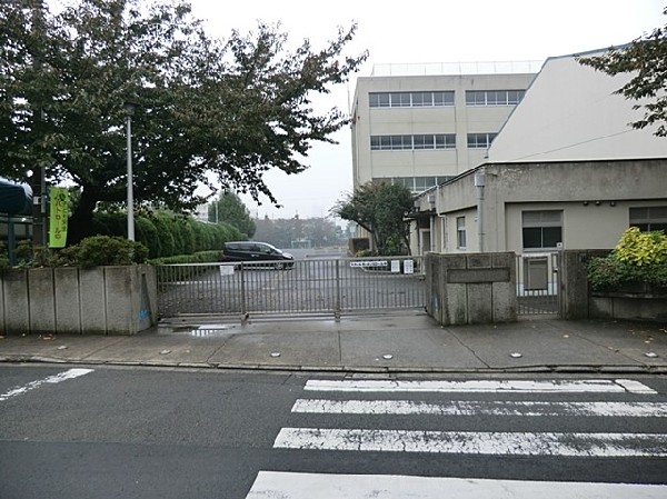 横浜市立浦島小学校(横浜市立浦島小学校まで450ｍ)