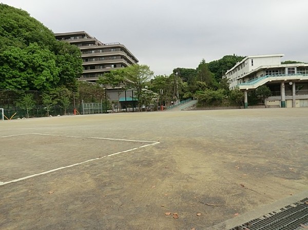 鎌倉市立山崎小学校(鎌倉市立山崎小学校まで250ｍ)
