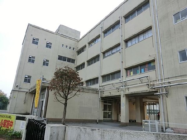 横浜市立飯島小学校(横浜市立飯島小学校まで800m)