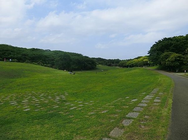 根岸森林公園(根岸森林公園まで800m 大きな公園も近くにあり安心です♪)