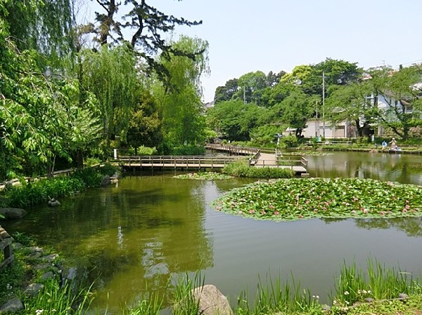 白幡池公園(白幡池公園まで100ｍ)