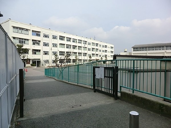 横浜市立笹野台小学校(横浜市立笹野台小学校まで800ｍ)