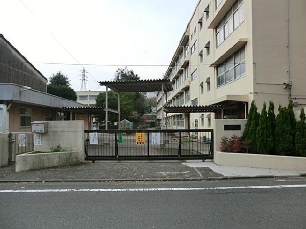 横浜市立左近山小学校(横浜市立左近山小学校まで1300m)