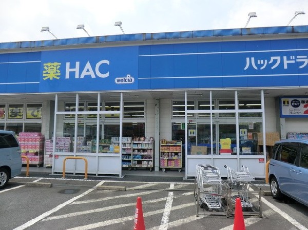 ハックドラッグ市沢店(ハックドラッグ市沢店まで750ｍ)