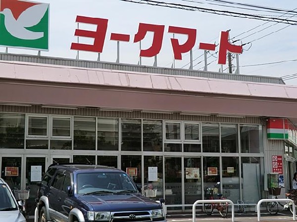ヨークマート大倉山店(ヨークマート大倉山店まで1500m)