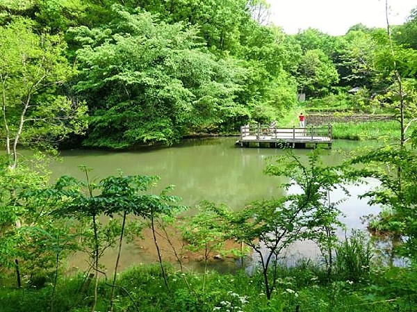 茅ヶ崎公園(茅ヶ崎公園まで400m)