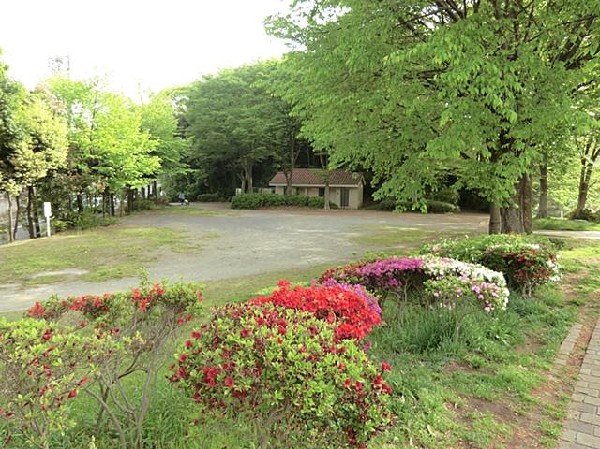 鴨池公園(鴨池公園まで10m)