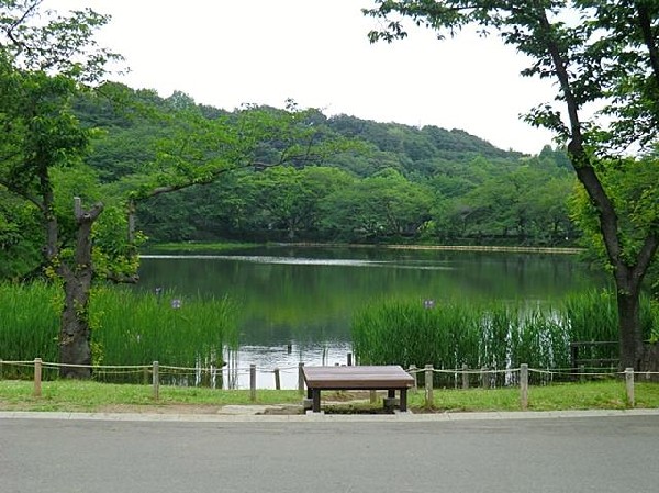 三ツ池公園(三ツ池公園まで800m)