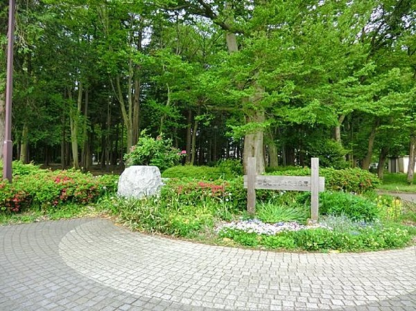 南台こどものもり公園(南台こどものもり公園まで450m)