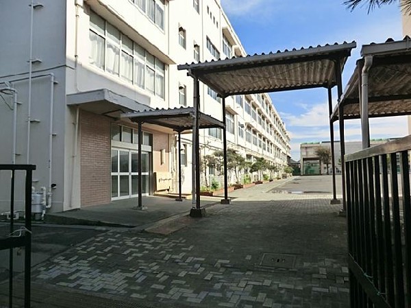 横浜市立新田中学校(横浜市立新田中学校まで500m)