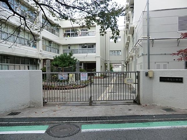 横浜市立港北小学校(横浜市立港北小学校まで500m)