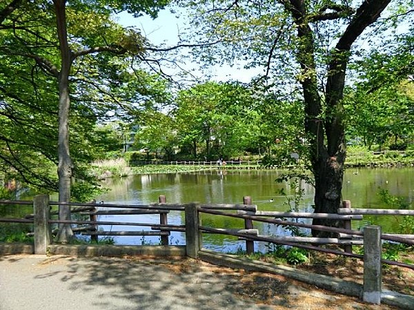 菊名池公園(菊名池公園まで250m)