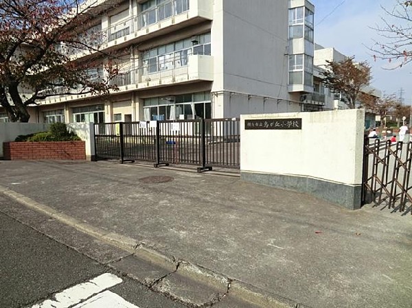 横浜市立鳥が丘小学校(横浜市立鳥が丘小学校まで450m)