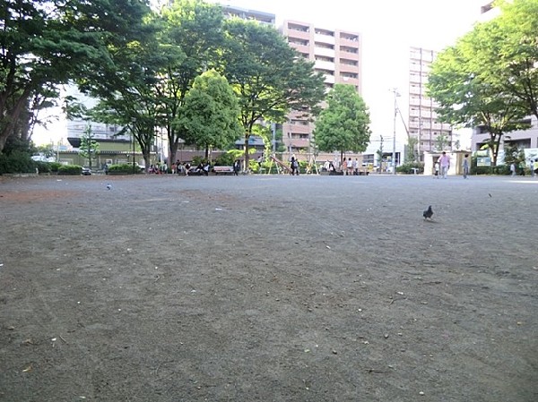 新横浜第一公園(新横浜第一公園まで800ｍ)