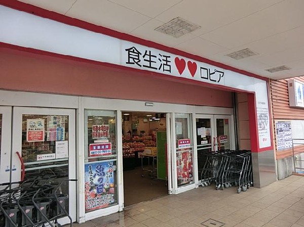 ロピアいずみ中央店(ロピアいずみ中央店まで400m 大型スーパーも近くあり買物便利♪)