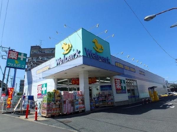 ウェルパーク向ヶ丘遊園南口店( いなげやグループのドラッグストア。医薬品と調剤薬局を合わせたハイブリットストア。)
