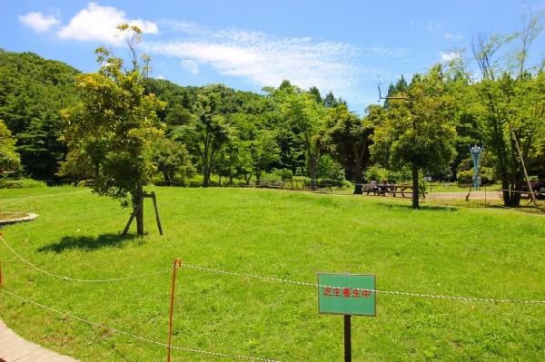 生田緑地(爽やかな風が通り、豊かな自然をそのままいかした広大な緑地。広場、プラネタリウム、バラ園など、幅広い世代が楽しめるのも魅力です。)