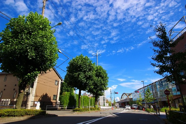 矢野口駅（北側並木）　(駅前周辺は、南武線の高架化に伴い再開発されています。少し足を延ばせば、多摩川も広がり自然も身近です。)