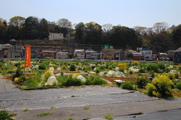 シェア畑(一定エリアを間借りして、週末の野菜作りが楽しめる施設。都会にいながら野菜は自足できるのが嬉しい。)