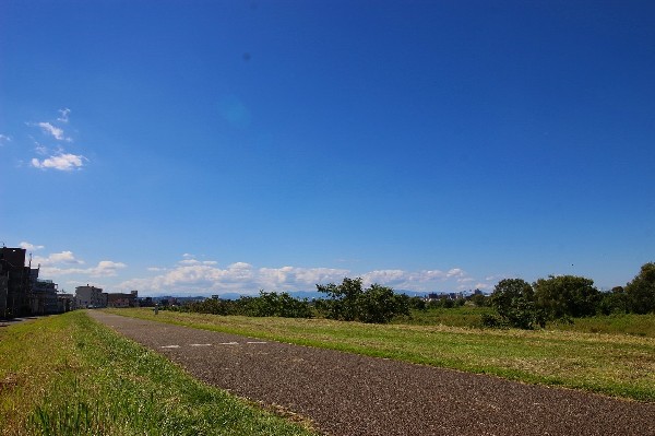 多摩川サイクリングロード(天気のよい日はロードバイクだけでなく、ママチャリも多く走っています。サイクリングだけでなく、ランニングやひなたぼっこなど用途は色々)