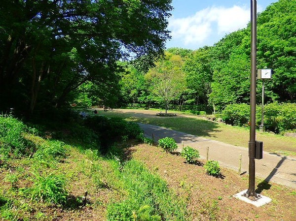 東高根森林公園(四季を感じる自然豊かな大規模公園。自然と触れ合う楽しさを感じよう。)