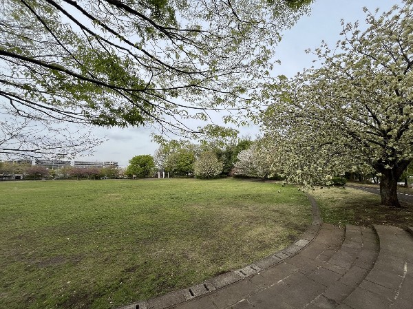 滝ケ谷公園