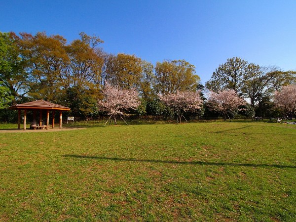 春日台公園(野球場が併設されている広々とした公園。都市圏にありながら森林浴が楽しめるほど、自然豊かな場所です。)