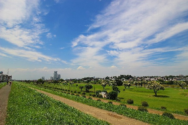 多摩川(サイクリングやペットとのお散歩、お子様とのキャッチボールなど、暮らしをより充実させてくれる住環境です。)