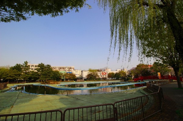 菊名池公園(妙蓮寺駅徒歩3分の、池を囲んだのどかな公園です。春には桜が楽しめ、夏にはプールが賑わっています。)