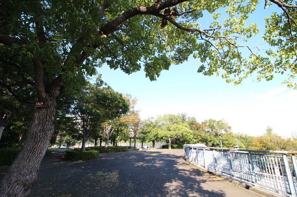 城山公園(四季を感じる自然豊かな大規模公園。ランニングする人や、お弁当を広げてピクニックするご家族で賑わいます。)