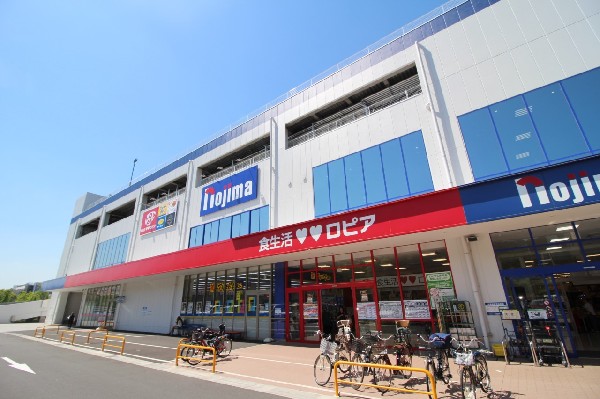 ロピア川崎水沢店(異業種コラボ店舗”ロピア”マツモトキヨシ”ノジマ”がオープン！ローコストをうたい文句にしたお店が、一つ館に集まったことは、うれしいこと！)
