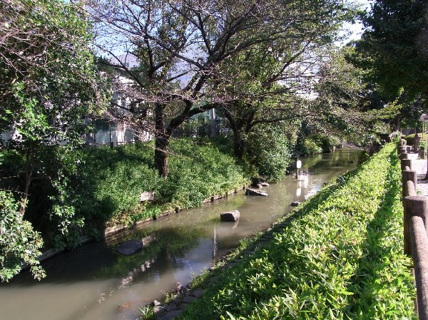二ヶ領用水(春には桜が咲き誇る、二ヶ領用水の沿道。四季の移ろいを感じる自然が身近にある幸せは、長く住む地だからこそ大切にしたいとっておきの場所。)