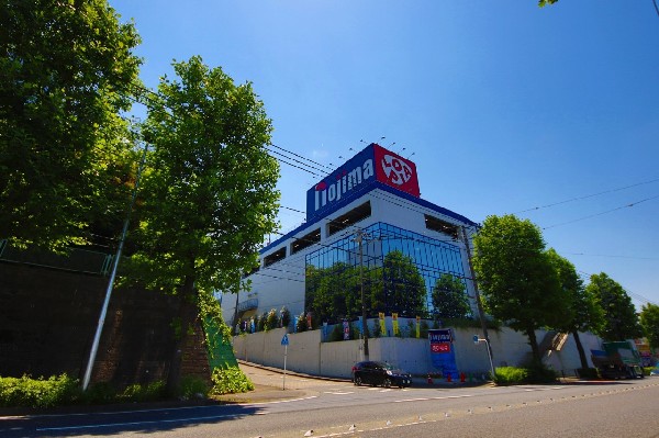 食生活 ロピア 川崎水沢(食生活 ロピア 川崎水沢店　異業種コラボ店舗「ロピア」「マツモトキヨシ」「ノジマ」がオープン。)