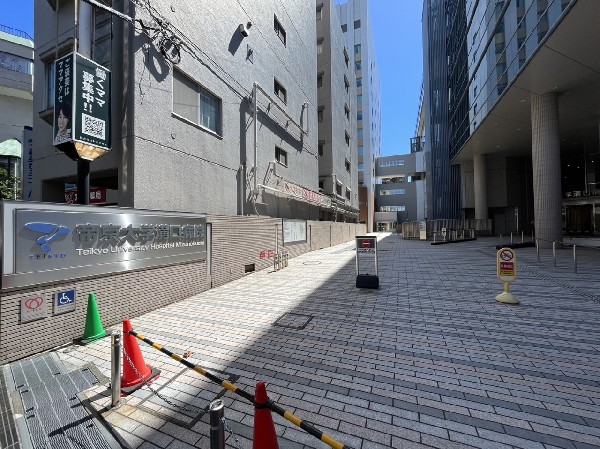 帝京大学医学部附属溝口病院　( 総合病院がこれだけ近くにあると、いざという時も安心ですね。)