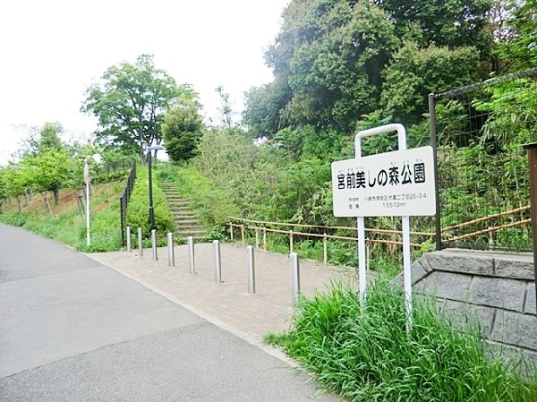 宮前美しの森公園(樹木が立ち並び、木漏れ日を愉しめる公園。落ち着きある空間が広がります。)
