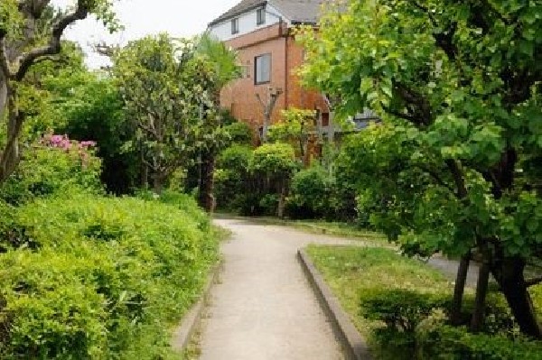 野川緑地公園　(狛江市の小金橋から狛江市役所までの旧野川跡を整備して造られた公園。)