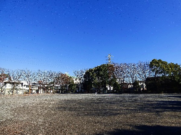 橘公園　(季節の移ろいを感じられる公園。休日は四季を感じながら、ジョギングをしたり、お子様と一緒に遊べる公園です。)