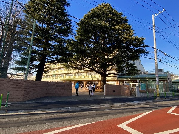 狛江市立緑野小学校　(お子様が一日の中でも長い時間を過ごす小学校。どんどん成長していく姿が目に浮かびます。)
