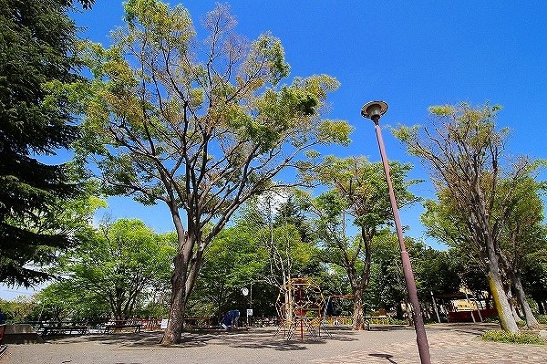 寺尾台第一公園 　 (大きい広場が特徴の公園です。広々とした園内でお子様たちものびのびと遊べ、ベビーカーなどでお散歩に来られても安心。遊具も豊富です。)