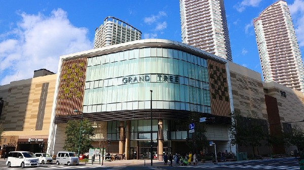 グランツリー武蔵小杉 (再開発の一環として2014年にOPEN。小杉駅の発展と共に注目を集め、現在でもファミリー層の人気は衰えず。屋上庭園は憩いの場)