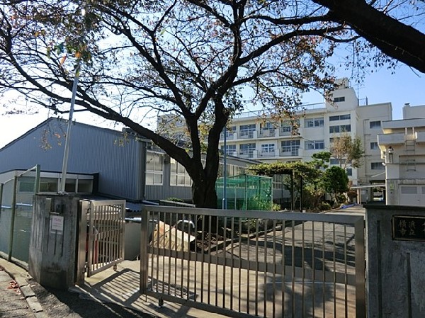 篠原小学校(お子様が一日の中でも長い時間を過ごす小学校。のびのびと過ごし、広い校庭で元気に駆け回ったり、どんどん成長していく姿が目に浮かびます。)