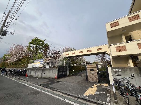 やまた幼稚園(やまた幼稚園は文部科学省が推進する国際バカロレア初等教育プログラム(IB-PYP)の認定校。)