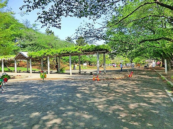 梶ヶ谷第一公園(自然と触れ合える、桜で有名な公園です。敷地も広く、池もあります。)