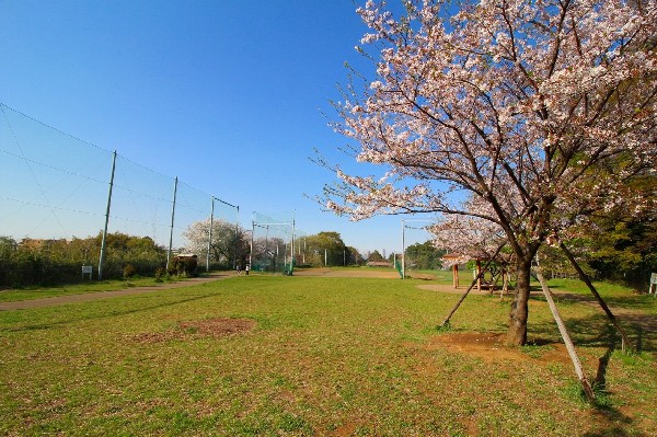 たちばなふれあいの森（高津区市民健康の森）　春日台公園(野球場が併設されている広々とした公園。都市圏にありながら森林浴が楽しめるほど、自然豊かな場所です。)